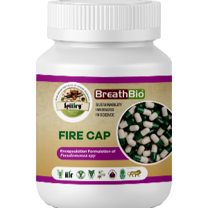 bio capsules pseudomonas