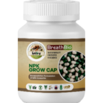 bio capsules npk consortia