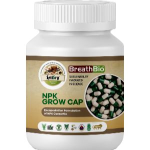 bio capsules npk consortia