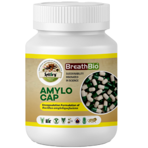 Bio Capsules- Bacillus amyloliquefaciens (GRB 35)