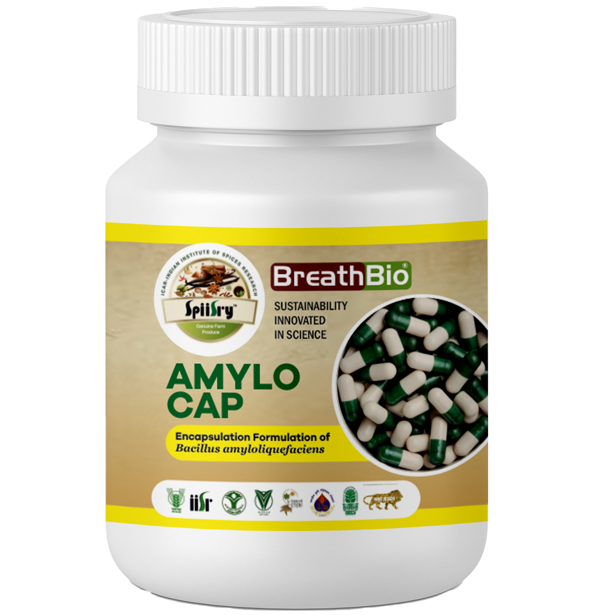 Bio Capsules- Bacillus amyloliquefaciens (GRB 35)