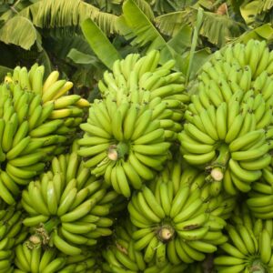 banana special micronutrient